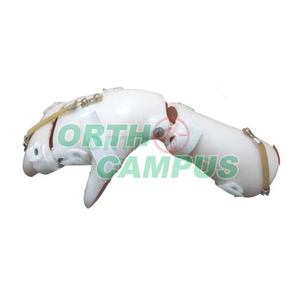 Produtos Orthocampus